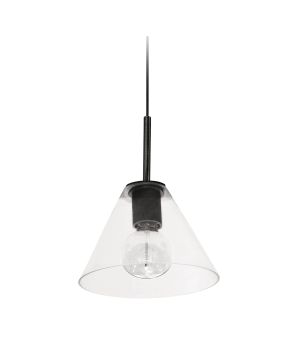 1 Light Matte Black Pendant w/ Clear Glass